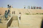 irrigation