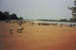 barrage